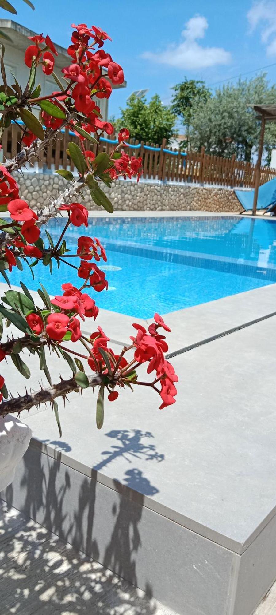 Hotel Villa Ruci クサミル 部屋 写真