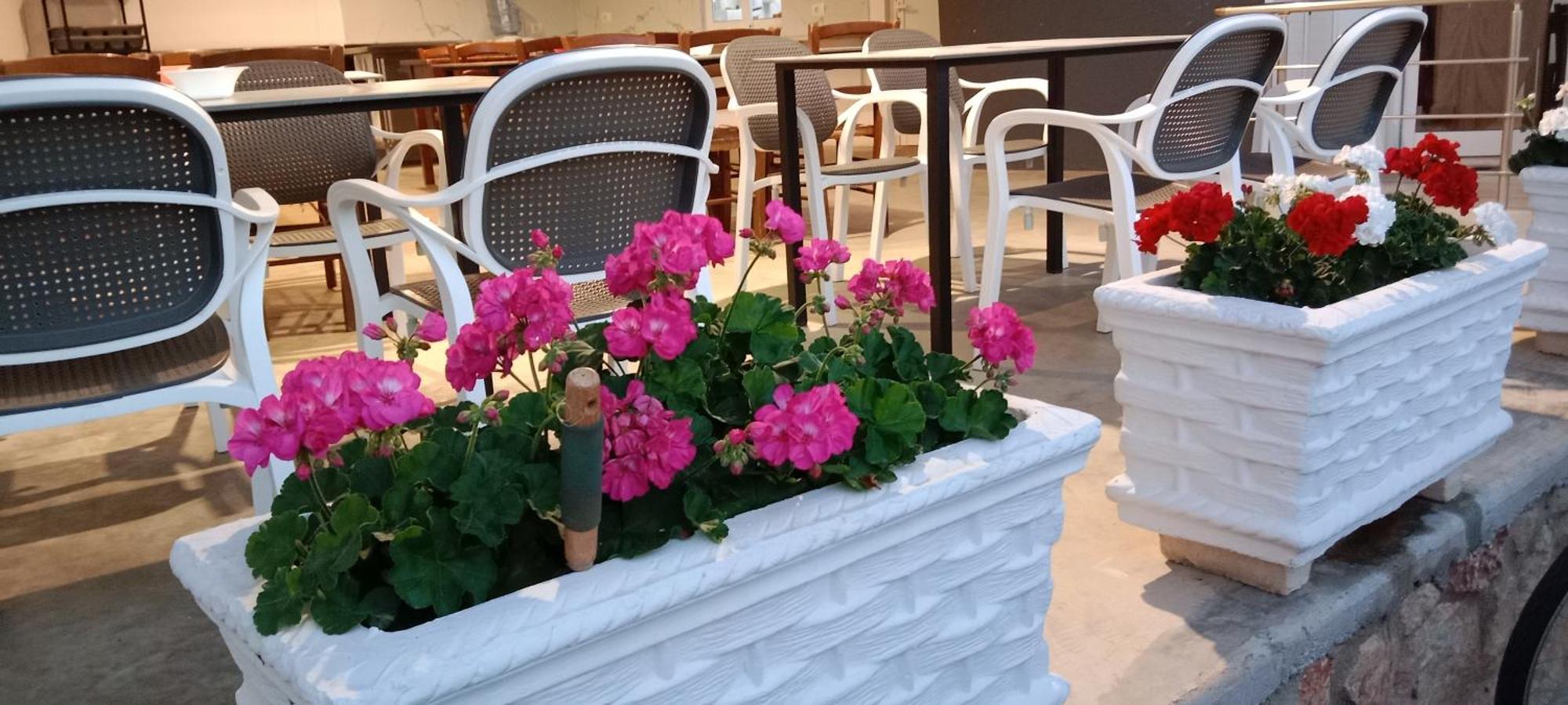Hotel Villa Ruci クサミル エクステリア 写真